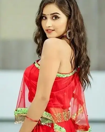 Escort In Virudhachalam